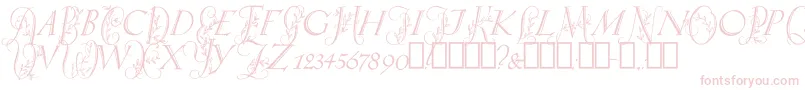 SpringtimeCapitals Font – Pink Fonts on White Background