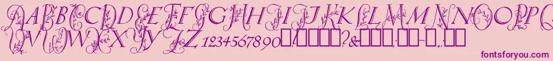 SpringtimeCapitals Font – Purple Fonts on Pink Background
