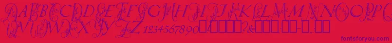 SpringtimeCapitals Font – Purple Fonts on Red Background