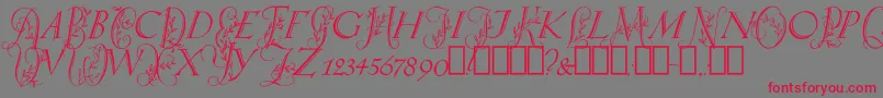 SpringtimeCapitals Font – Red Fonts on Gray Background