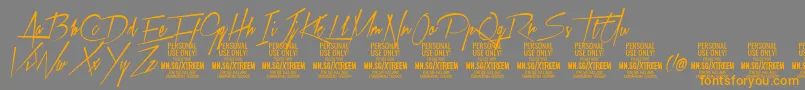 フォントXtreemmediumPersonalUse – オレンジの文字は灰色の背景にあります。