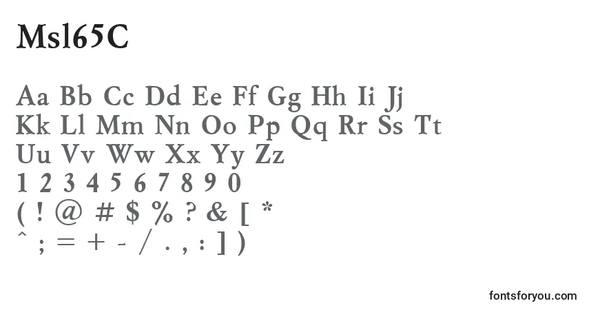 A fonte Msl65C – alfabeto, números, caracteres especiais