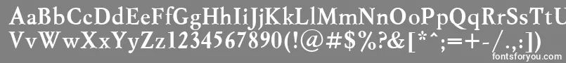 Msl65C Font – White Fonts on Gray Background