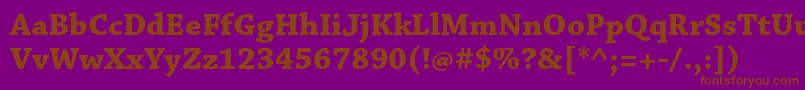 Шрифт ChaparralproBold – коричневые шрифты на фиолетовом фоне