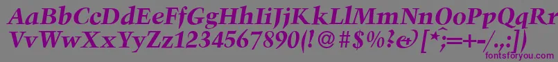TroubadourBolditalic-fontti – violetit fontit harmaalla taustalla