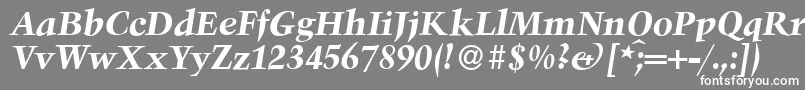 フォントTroubadourBolditalic – 灰色の背景に白い文字