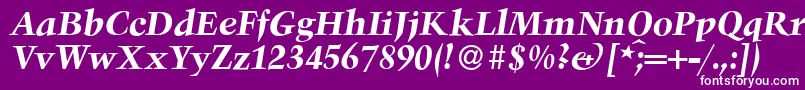 TroubadourBolditalic Font – White Fonts on Purple Background