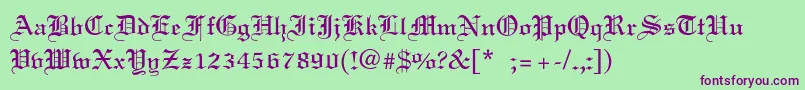 LinotextLight Font – Purple Fonts on Green Background