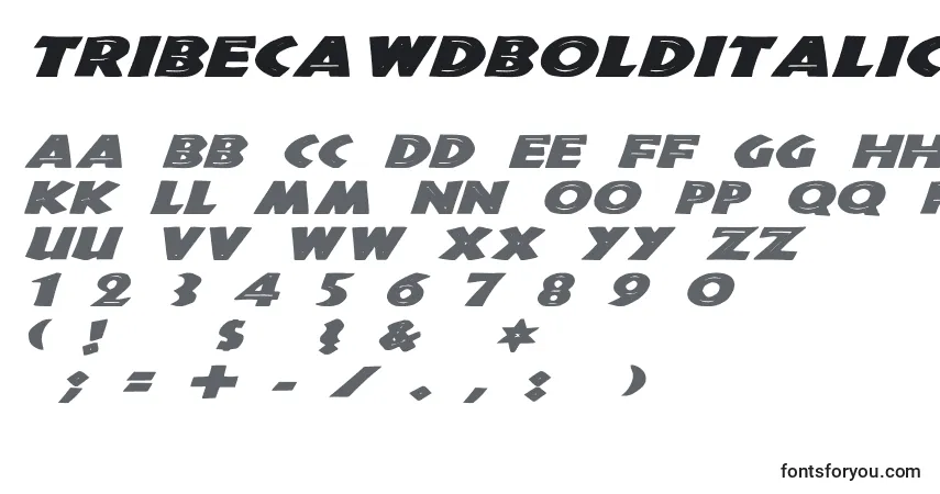 A fonte TribecaWdBoldItalic – alfabeto, números, caracteres especiais