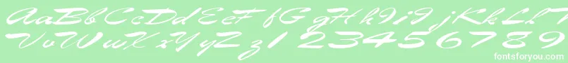 Eggshell61RegularTtext-Schriftart – Weiße Schriften auf grünem Hintergrund