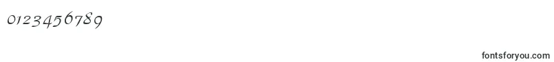 Parkavenue Font – Fonts for Numbers and Digits