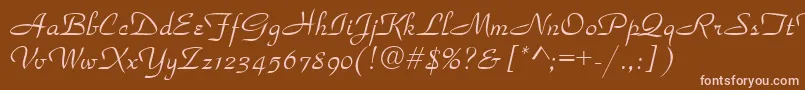 Parkavenue Font – Pink Fonts on Brown Background