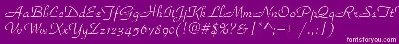 Parkavenue Font – Pink Fonts on Purple Background