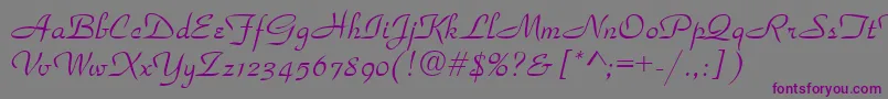 Parkavenue Font – Purple Fonts on Gray Background