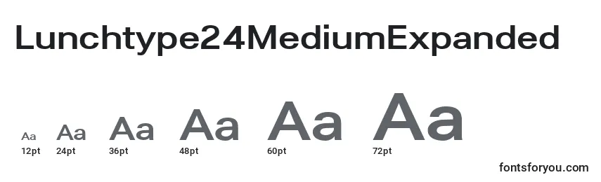 Lunchtype24MediumExpanded Font Sizes