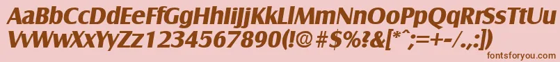 SalzburgBoldita Font – Brown Fonts on Pink Background