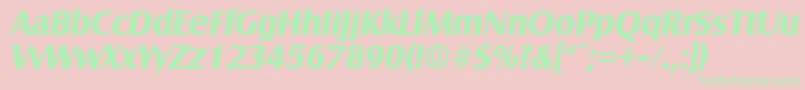 SalzburgBoldita-Schriftart – Grüne Schriften auf rosa Hintergrund