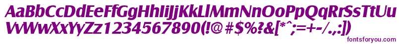 SalzburgBoldita-Schriftart – Violette Schriften auf weißem Hintergrund