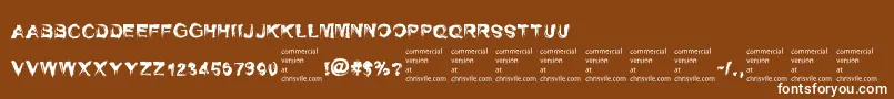 SelfrighteousnessRegular Font – White Fonts on Brown Background