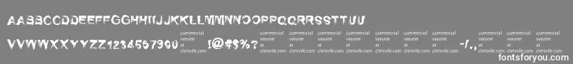 SelfrighteousnessRegular Font – White Fonts on Gray Background