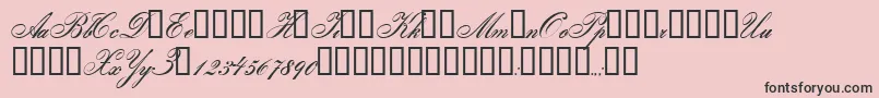 Gloria Font – Black Fonts on Pink Background