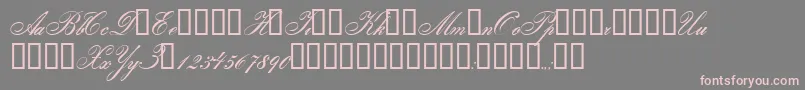 Gloria-Schriftart – Rosa Schriften auf grauem Hintergrund