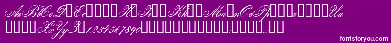 Gloria Font – White Fonts on Purple Background