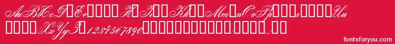 Gloria Font – White Fonts on Red Background