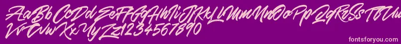 SkywalkerFreeDemo-Schriftart – Rosa Schriften auf violettem Hintergrund