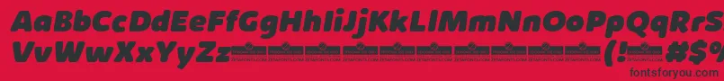 KabrioSoftHeavyItalicTrial Font – Black Fonts on Red Background