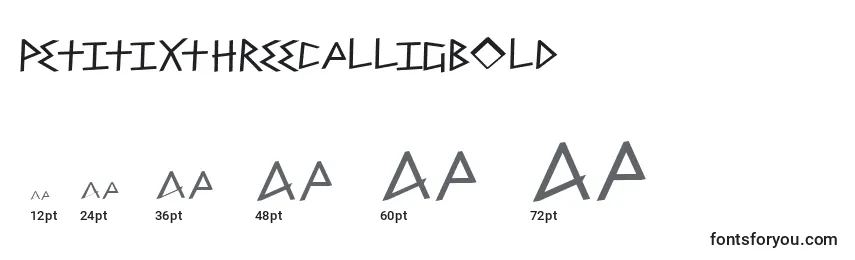 PetitixthreecalligBold Font Sizes