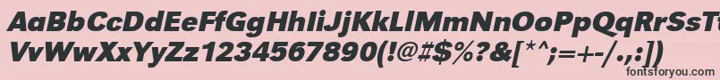 UrwgrotesktBoldOblique Font – Black Fonts on Pink Background