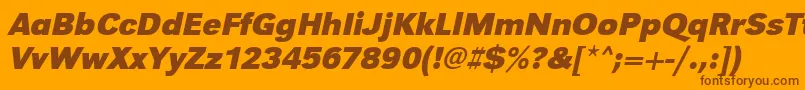 UrwgrotesktBoldOblique Font – Brown Fonts on Orange Background