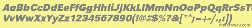 UrwgrotesktBoldOblique Font – Gray Fonts on Yellow Background