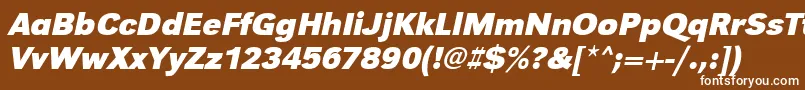 UrwgrotesktBoldOblique Font – White Fonts on Brown Background