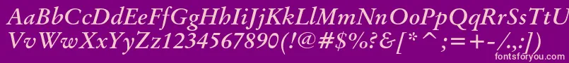 OriginalgaramondcbtBolditalic Font – Pink Fonts on Purple Background
