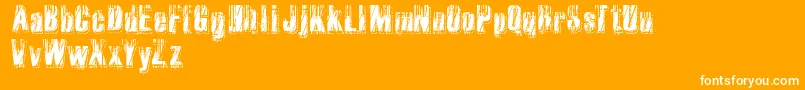 RvdMicrocode Font – White Fonts on Orange Background