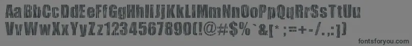 Safarizebra-fontti – mustat fontit harmaalla taustalla