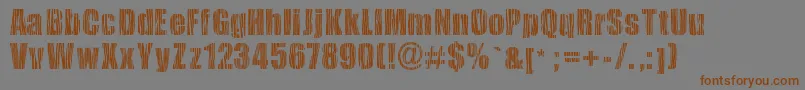 Шрифт Safarizebra – коричневые шрифты на сером фоне