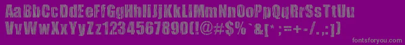 フォントSafarizebra – 紫の背景に灰色の文字