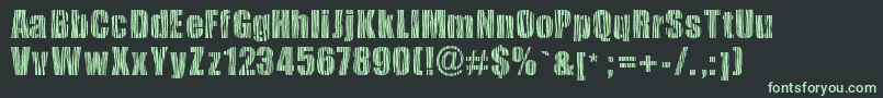 Safarizebra Font – Green Fonts on Black Background