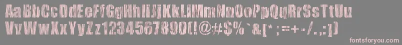 フォントSafarizebra – 灰色の背景にピンクのフォント