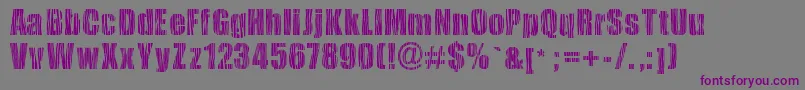 Safarizebra Font – Purple Fonts on Gray Background