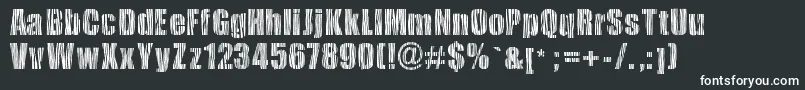 フォントSafarizebra – 黒い背景に白い文字