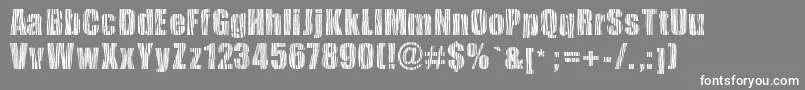 Safarizebra Font – White Fonts on Gray Background