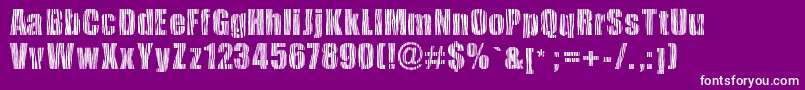 Safarizebra-fontti – valkoiset fontit violetilla taustalla