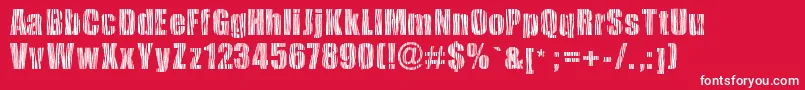 Safarizebra-Schriftart – Weiße Schriften auf rotem Hintergrund