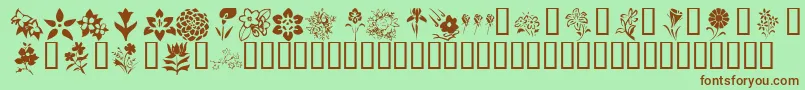 KrBlossoms1 Font – Brown Fonts on Green Background