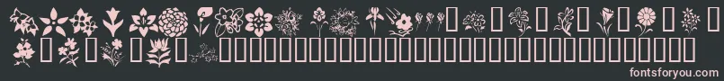 KrBlossoms1 Font – Pink Fonts on Black Background