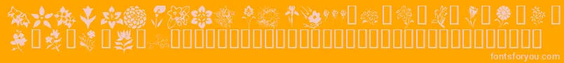 KrBlossoms1-Schriftart – Rosa Schriften auf orangefarbenem Hintergrund